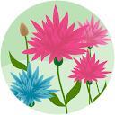 bekty anggraeni bekty anggraeni